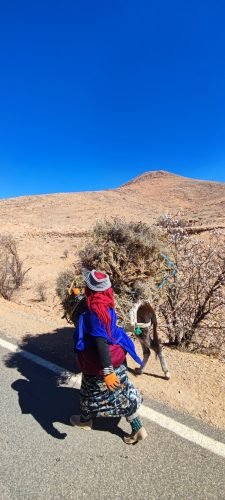 IMG 20250216 123444 1 (1)