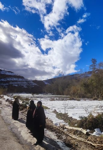 IMG 20251224 171623 (1)